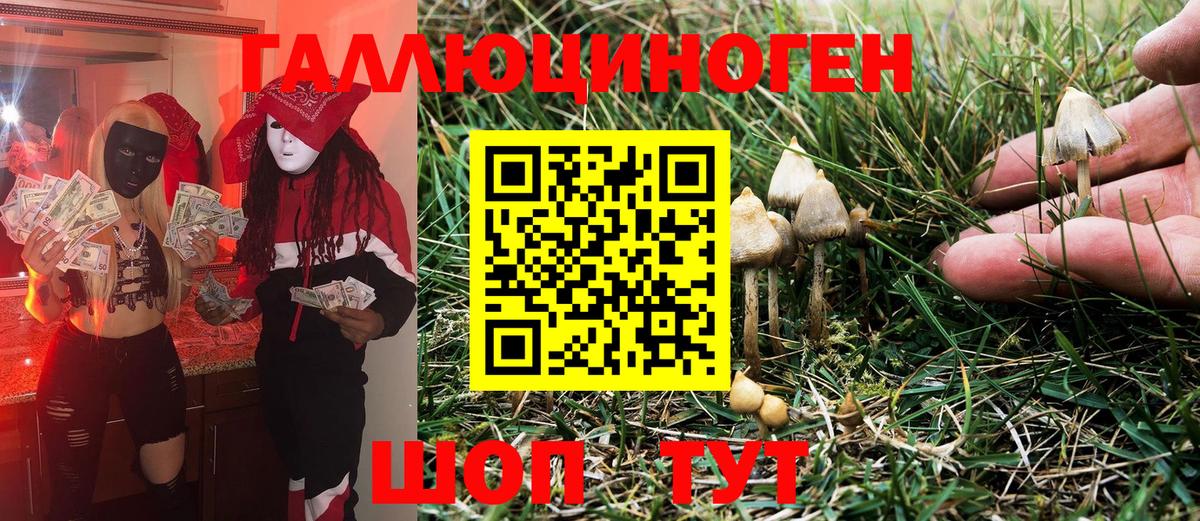 Псилоцибиновые грибы ЛСД  Вход с VPN  Бердск  Псилоцибиновые грибы MAGIC MUSHROOMS 
